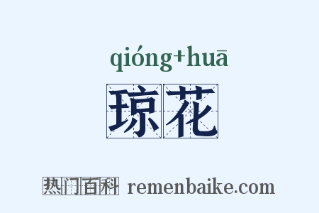 琼花是什么意思的图片